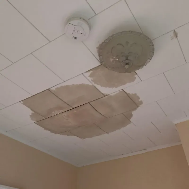 Ceiling Water Damage Repair in Madison, ME