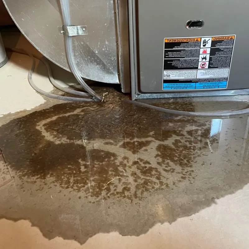 Pipe Burst and Leak Restoration in Madison, ME